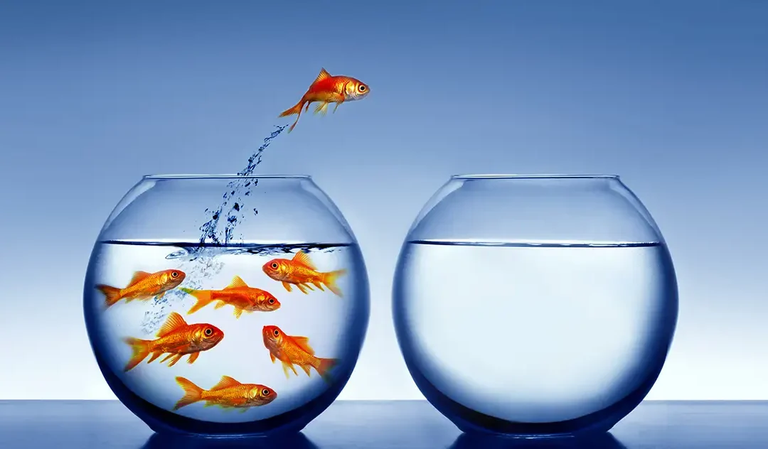 What Makes You So Great!