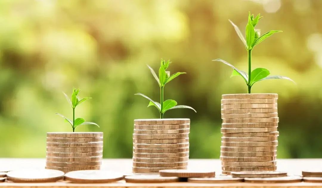 Here Come the Girls: Perception is Everything and Why Darwin was Right (as an Economist – not a Biologist.)