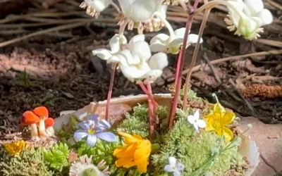 Love and Leadership – A Concept Worthy of Exploration