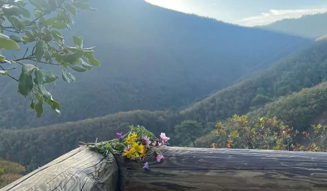 The Power of Nature: How Hiking in the Woods Cultivates Better Leaders