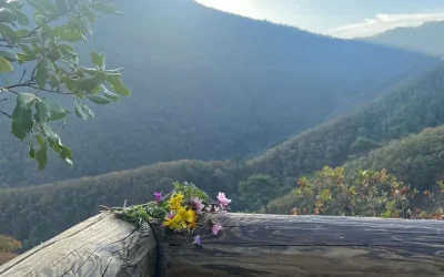 The Power of Nature: How Hiking in the Woods Cultivates Better Leaders